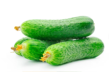 Cucumber